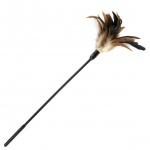 SexShop - Sportsheets Starburst Tickler – Miotełka z piórkami  do fantazji erotycznych beżowa - online