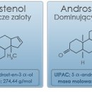 Sexshop - Feromony Sexual Attraction damskie 15ml - online