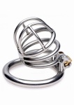 Klatka cnoty męskiej z blokadą - The Pen Deluxe Locking Chastity Cage - srebrna AF235