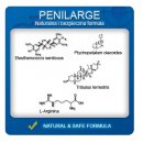 Sexshop - Penilarge Cream 50ml - Krem powiększający penisa - online