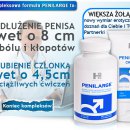 Sexshop - Penilarge Cream 50ml - Krem powiększający penisa - online
