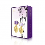 SexShop - Luksusowe złote plugi analne - Rianne S Booty Plug Luxury Set 2x Gold  - online