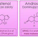 Sexshop - 100 ml - Perfumy z feromonami Love & Desire damskie - online