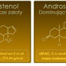 Sexshop - 100 ml - Perfumy z feromonami Love and Desire PREMIUM EDITION męskie - online