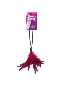 SexShop - Czerwone piórka - Pleasure Feather - Red - online