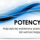 Sexshop - Spray wywołujący erekcję Potency Spray Intensive - online
