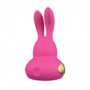 Sexshop - Kama Sutra Rhythm Chari Multi Stimulator  Różowy - Stymulator łechtaczki z podświetleniem LED - online