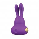 Sexshop - Kama Sutra Rhythm Chari Multi Stimulator  Fioletowy - Stymulator łechtaczki z podświetleniem LED - online