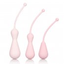 Sexshop - Inspire Weighted Kegel Training Kit  - Zestaw do  treningu mięśni Kegla - online