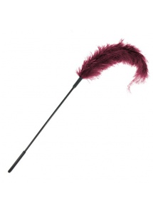 SexShop - Sportsheets Ostrich Tickler – Miotełka strusie pióro burgund - online