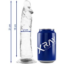 XRAY Clear Model 21 cm Transparentny żelowy model anatomiczny z przyssawką, elastyczny
