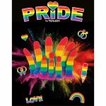 NS Novelties Pride Edition Model Rainbow 19 cm silikon medyczny, satynowa powierzchnia, tęczowy design