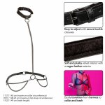CalExotics Euphoria Chain Halter Collar & Leash obroża halter z łańcuszkiem, skora wegańska, regulowana