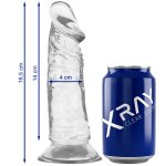 XRAY Clear Jelly 16.5 cm x 4 cm, transparentny model z przyssawką, anatomiczny