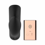 Rosy Gold Model Black – dyskretny system noszony, silikonowy, etui ładowania z lustrzaną pokrywą