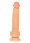 Working Stiff The Cabana Boy anatomiczny model z przyssawką, elastyczny, 20 cm