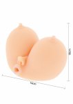 HIDDEN DESIRE BANGERS Busty Bimbo model anatomiczny z dużym biustem Realistic Love Skin