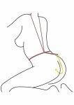 TABOOM Luxury Anal Hook stalowy hak z gładką powierzchnią i okrągłym uchwytem