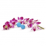 SexShop - Kulki Kegla - Fun Toys Gballs 2 niebieski - online