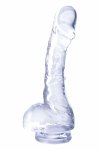 NMC 4 INCH Realistic Mini Transparent Model z Przyssawką 10,1 cm, elastyczny TPE