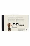 GUILTY PLEASURE Midnight Suspender Belt czarny S Datex, zamek z przodu, 4 paski do pończoch