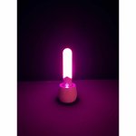 Paradise Pleasure Products Illumination The Rabbit biały, RGB LED, IPX7, aplikacja, silikon