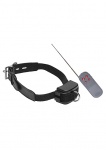 Obroża z elektrowstrząsami - Puppy Trainer AE238 - Jolted Cock & Ball Strap with Penis Stim - Black