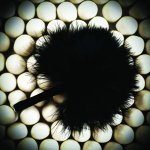 Bijoux Indiscrets Tickle Me Tickler Black – czarne piorko do masażu z ergonomicznym uchwytem