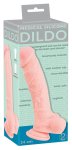 Medical Silicone Model 24 cm – anatomiczny symulator z przyssawką, silikon medyczny