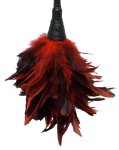 Fetish Fantasy Series czerwone piorko do łaskotania 35,6 cm, ergonomiczny trzonek ABS