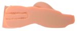 PDX Plus Tors Cielisty – Model anatomiczny z 2 kanałami, tekstura TPR, 4,8 kg