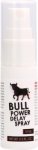 Cobeco Bull Power Delay Spray żel opoźniający 15 ml – spray z atomizerem, szybka aplikacja