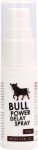 Cobeco Bull Power Delay Spray żel opoźniający 15 ml – spray z atomizerem, szybka aplikacja