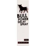 Cobeco Bull Power Delay Spray żel opoźniający 15 ml – spray z atomizerem, szybka aplikacja